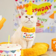강아지 고양이 생일 파티용품 꼬깔모자+턱받이, 1세트, 옐로