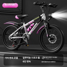 그래도아 초등학생자전거 주니어 두발, 22인치, 1cm, 체리블라썸핑크 스포크 기어 변속