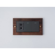 Panasonic 開關插座面板組，黑胡桃木質感設計, 1個, 螢光2開1插（灰