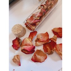 乾燥花許願瓶 乾燥玫瑰 玫瑰花瓣 DIY果凍蠟燭 水晶滴膠 試管玻璃瓶 禮物 拍照道具 永生花, 1個, 玫瑰花瓣+玻璃瓶, 紅色
