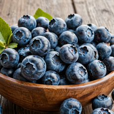 오늘신선 초고당도 생 블루베리 수입산, 6개, 125g (특대 16~18mm)
