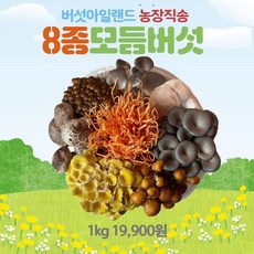 산지직송 당일수확해서 보내는 모듬버섯, 7종모듬버섯, 1개, 1 kg
