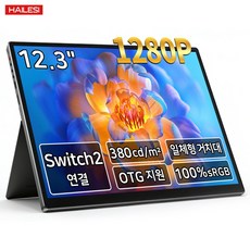 HAILESI S123 1.9K/2.4K 12.3인치 터치식 휴대용 모니터, 1920*1280(터치 불가), 31.24cm