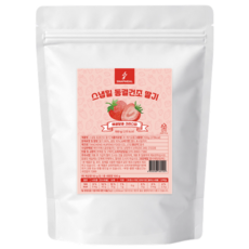 스냅밀 동결건조 딸기, 1개, 100g