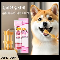 반려동물 전용 치약 세트 식품 등급 실리콘과 PP 소재 사용 안전하고 내구성이 뛰어나며 부드럽게 치아를 세정하여 잇몸을 상하게 하지 않습니다, 1세트, 120ml