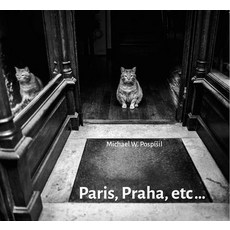 Michael W. Pospísil: Paris Praha Etc... Hardcover, Kant, English, 9788074373091