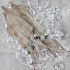 고단백 저지방 급냉 한치 1kg 15미 쫀득식감 맛있는반찬, 1세트, 1팩 15미내외 1kg