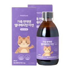 와이즐리 가족면역엔 엘더베리맛 아연, 2개, 280ml