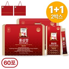 1+1한정특가 6년근 홍삼정 홍삼 명절선물 완판10만박스 쇼핑백 유산균 포함 플라이삼육오(주), 300ml, 2개