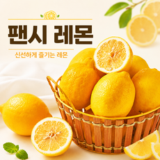 팬시 레몬 신선한 생레몬 상큼한 과즙 과일 레몬수 샐러드용, 1박스, 레몬 생과 5과 소