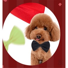 베카87 강아지 나비넥타이 반려동물