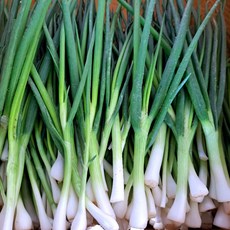 싱싱함이 살아있는 흙쪽파, 2kg, 1박스, 깐쪽파 (2kg)