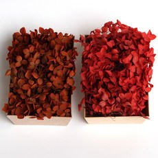 화연양화 톤온톤 박스 수국 2개입 프리저브드플라워 시들지않는생화, 09 어텀레드