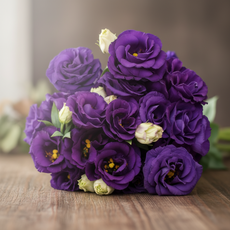 비그린몰 베란다 정원 꽃씨 -화사한 리시안셔스 씨앗 외 시리즈, 리시안셔스 아레나퍼플 10립