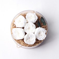 화연양화 미니장미 6개입 프리저브드플라워 시들지않는생화, 18오스틴장미 화이트