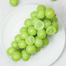 상주 김천 영천 샤인머스켓 망고포도 씨없는 청포도, 1개, 샤인머스켓[가정용] 500g(1수)