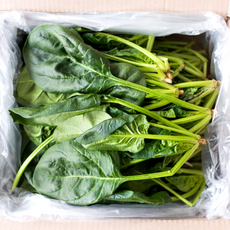 [타임특가] 달찌네 국내산 섬초 남해 시금치, 1개, 1kg