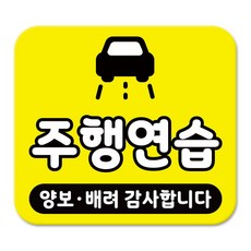 라쿤마켓 차량용 스티커 총27종 초보운전 아이가 타고 있어요 임산부가 타고있어요 강아지가 타고있어요 어르신운전중 혈액형 장애인 도로주행 연수용, 1개, 03_주행연습