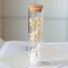 드라이플라워 꽃다발 시들지않는 꽃 투명하다 빌다병, 1개, 하얀 안개꽃