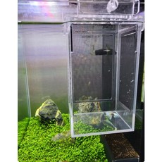 다기능 3면망사 물순환 2단 치어통 구피 부화통 격리통 치어통 열대어 안시 코리 걸이식 황금손아쿠아, 1개