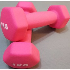 防滑啞鈴 1公斤 女性專用 磨砂粉紅 兩支組 雕塑體態 復健訓練, 1個, 兩支磨砂粉紅