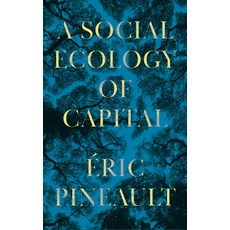 (영문도서) A Social Ecology of Capital Paperback, Pluto Press (UK)