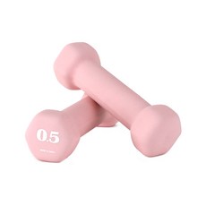 아리프 선인장 미용아령 0.5kg 세트 홈트 덤벨 헬스, 1세트