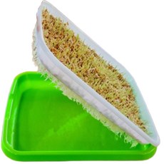 새싹 보리 재배기 1세트와 씨앗 300g, 1세트