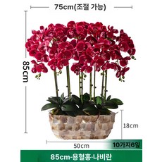 화분 꽃 장식품 호접란대형조화 취임난 개업축하 가짜 난초 꽃 인공, 쉘 화분 드래곤블러드레드