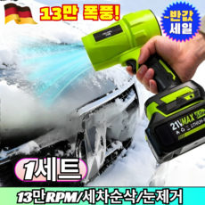 강력 무선 터보 리튬 배터리 송풍기 13만 RPM 괴물 파워 세차용 에어건 낙엽 눈 먼지 제거 청소기 무선 블로워 /무선송풍기/에어건, [1](1세트)그린&5 절전 1&케이스