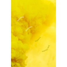 (영문도서) Breathing Aesthetics Paperback, Duke University Press, English, 9781478018865