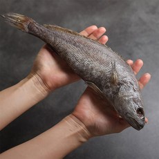 민어 굴비 5미 선물세트 1.7kg