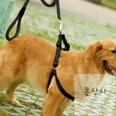 로프 대형견 목줄 하네스 리드줄 강아지하네스