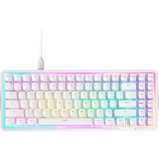NZXT 기능 트 미니TKL화이트, Black, Mini Tenkeyless, Function Elite, 텐키리스