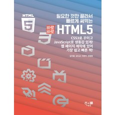 필요한 것만 골라서 빠르게 써먹는 바로바로 HTML5, 지앤선