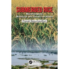 (영문도서)Submerged Rice: Morphological Molecular and Genetic Analyses Paperback, CRC Press, English, 9781032663401