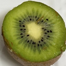 국내산 참다래 그린키위, 1개, 1kg 중 (10과 내외)
