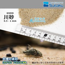 【AC草影】Suisaku 水作 鼠魚專用川砂 一袋裝 (鼠砂/熱帶雨林砂/熊貓鼠適用) 水族箱底砂, 1個, 水作 日本鼠魚專用川砂（1L）