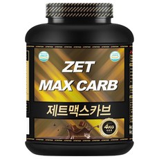 제트리션 제트맥스카브 더블초코 4kg, 1개