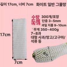 과일망 충격방지 네트 포장망 과일 포장용 네트망 딸기, 화이트, 1개, 그린 망고 표준 17x7300개