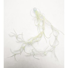 플로우리프 인조넝쿨 나뭇잎 파충류 도마뱀 크레스티드게코 사육장 케이지 테라리움 장식, 1개, 틸란드시아 넝쿨