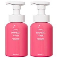 록키스 페미닌케어 약산성 버블 여성청결제, 2개, 300ml