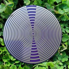 MWO 偏振光盤 特斯拉多頻波振盪器 天線 喬治拉霍夫斯基 電磁天線, 1個, .03【1個】 24圈10cm鎖頭加強