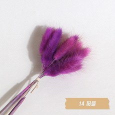 화연양화 프리저브드플라워 선별 라그라스 강아지풀 10개입, 14 퍼플