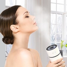 리빙프랜즈 미니가습기 USB 휴대용 가습기, 퓨어가습기 그린+필터2