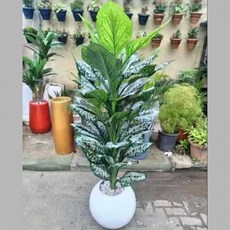 인조야자수 인조식물 대형조화 실내외테라스 인테리어용 상록수 인조나무 조경장식 실물같은 화분 소품, 1개, 5_화이트 점 만년 청(화분없음) 160cm