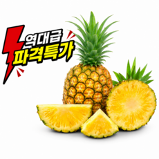 [일주일특가] 재구매1위 골드파인애플 특품, 1박스, 1수