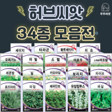 허브씨앗 모음 허브씨 바질 로즈마리 라벤더 딜 레몬밤 페퍼민트 캐모마일 타임 세이지, 13. 페퍼민트 300립, 1개