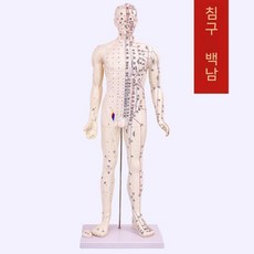 침술 혈자리 모형 한의원 인체 실습 교육 전신 경락, 80cm 전화이트 피침술인, 1개