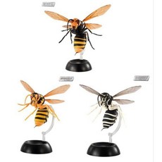 말벌모형 피규어 스탠드 장수말벌 수집용 곤충 굿즈 장난감, 3종 세트, 기본